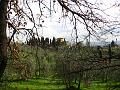 Fiesole Country Views-10